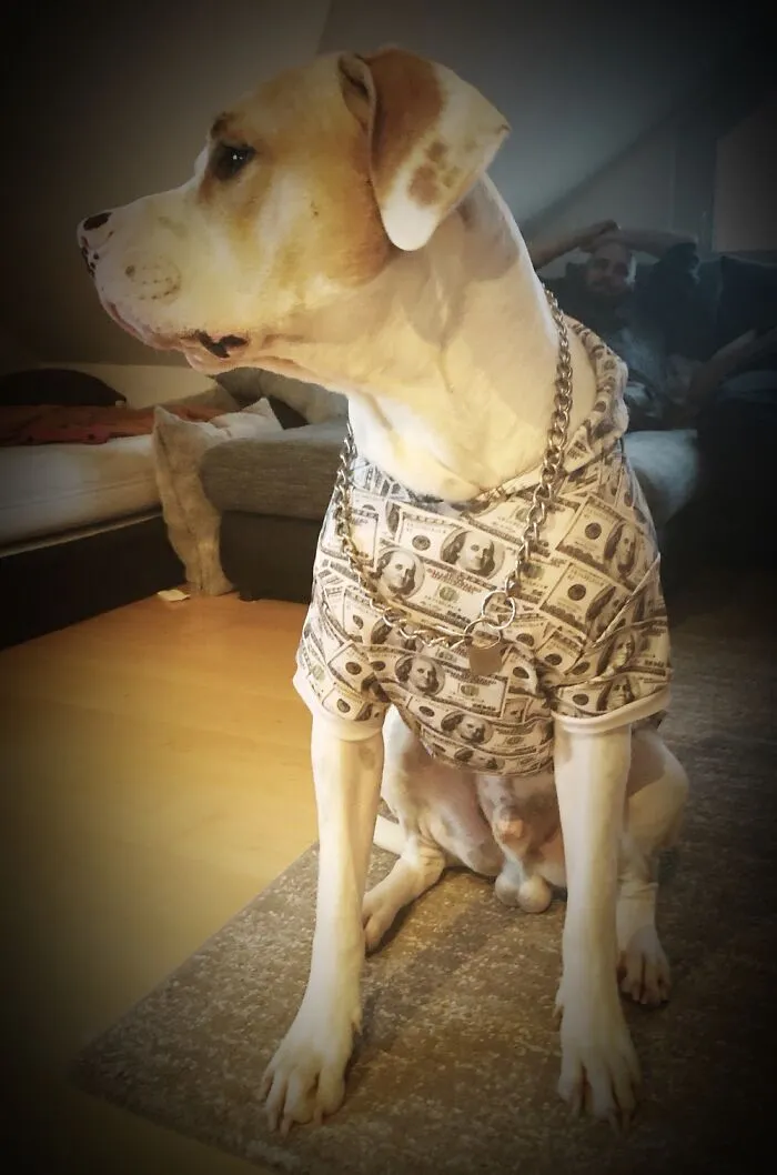 My Coolest Outfit