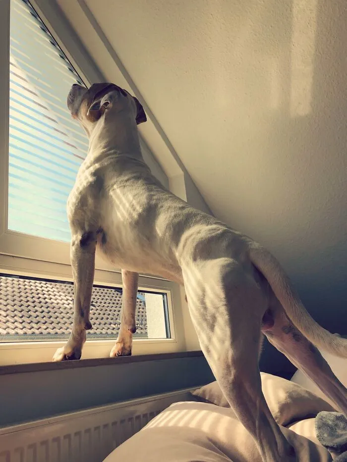 Pose For The Camera