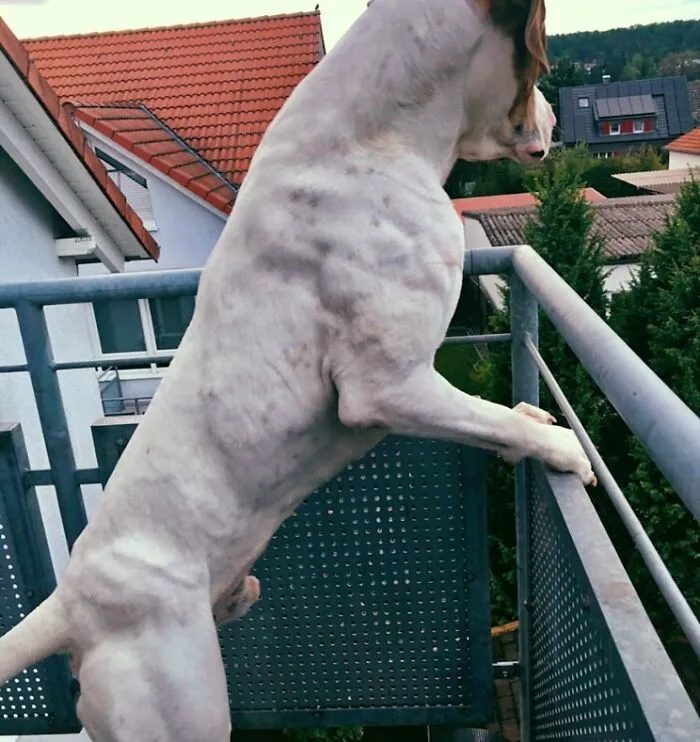 What A Nice View