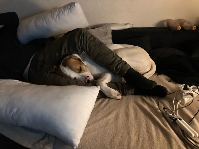 Cuddle Time