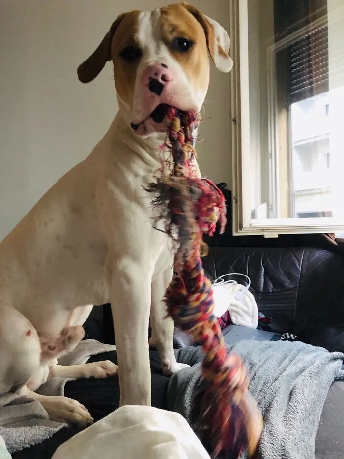 Wanna Play?