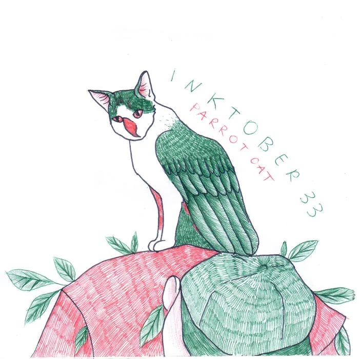 Parrot Cat