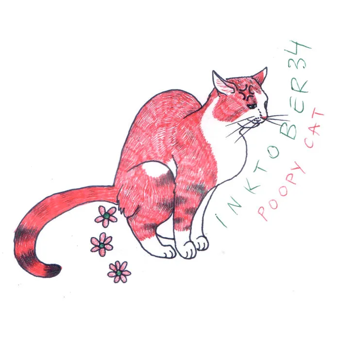 Poopy Cat