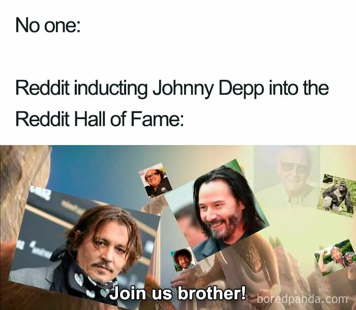 People Are Standing Up For Johnny Depp With These 40 Memes While Others Disagree