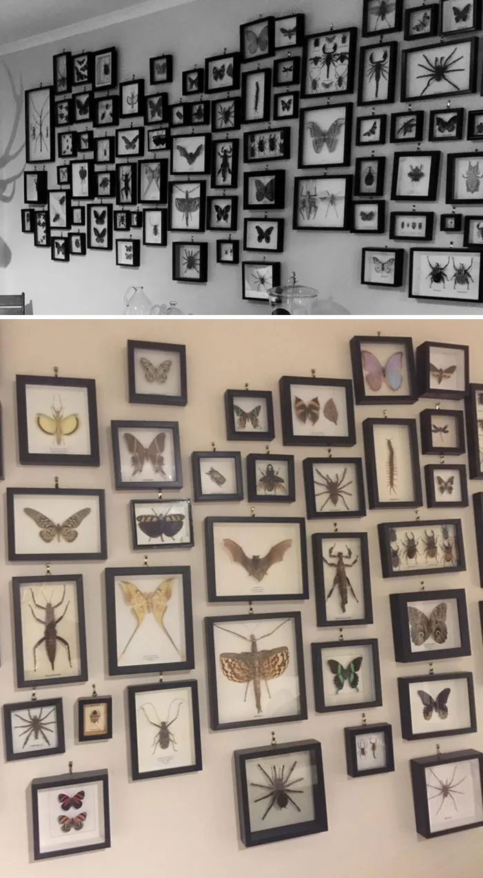Friend's Mom In Australia Has A Collection Of What She Found In Her Home