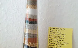 50 People Share Their Unique Collections