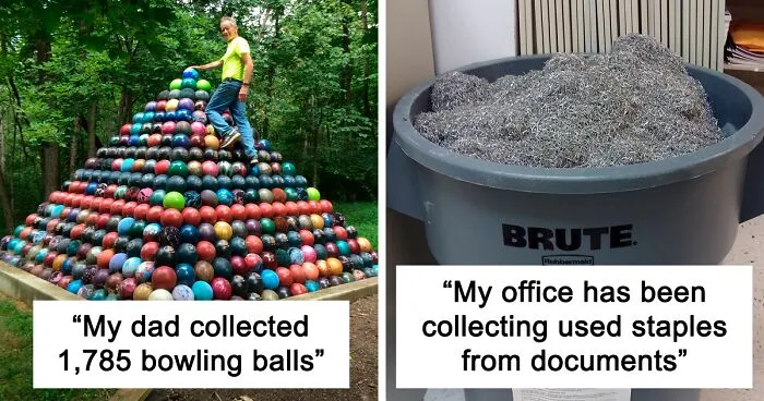 50 People Share Their Unique Collections