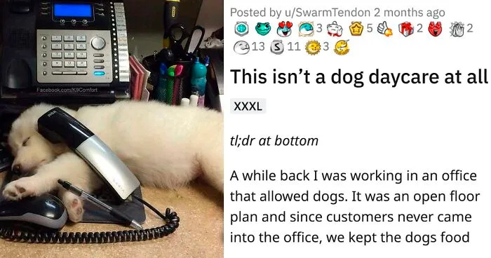 For Months, This Woman Mistakenly Kept Leaving Her Dog At This Office Thinking It's A Dog Daycare