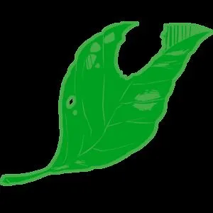 Nihileafs