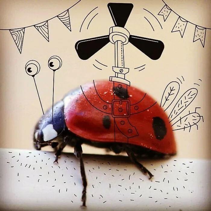 I Created Art Using Various Real-Life Objects Around Me (30 Pics)