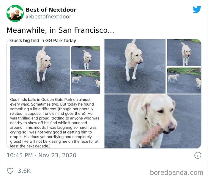 30 Of The Best And Worst Stories About Having Unusual Neighbors By 'Best Of Nextdoor'