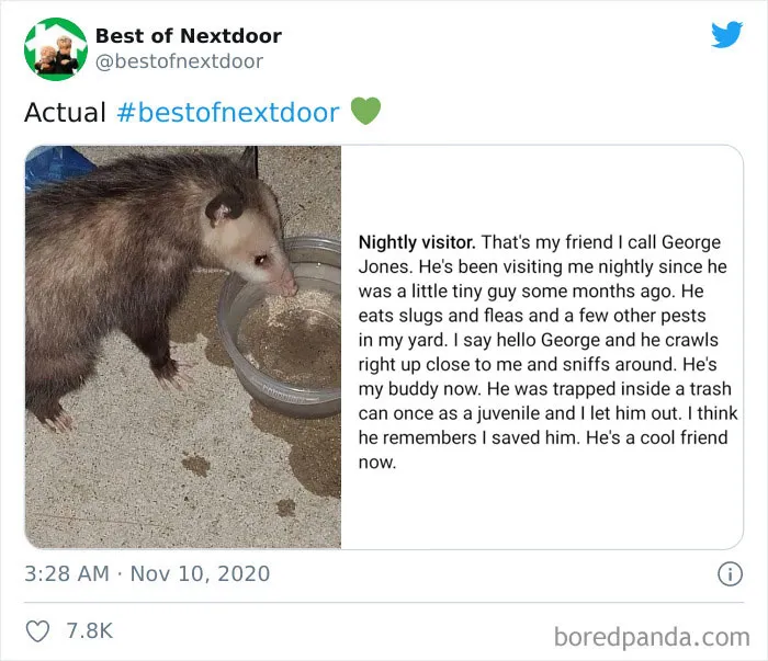 30 Of The Best And Worst Stories About Having Unusual Neighbors By 'Best Of Nextdoor'