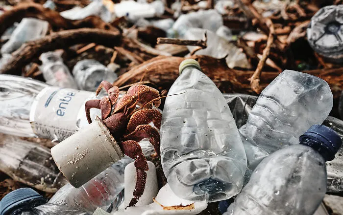 Nominee: Conservation Photographer Of The Year