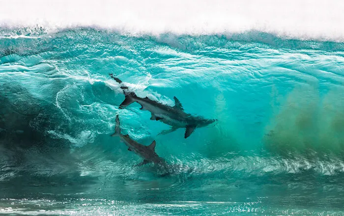 Nominee: Adventure Photographer Of The Year