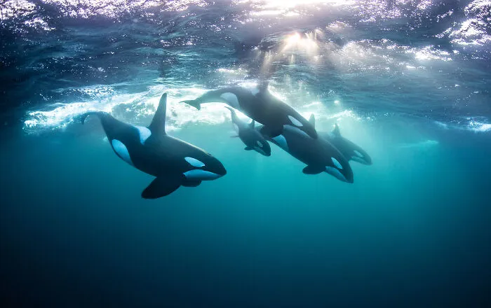 Nominee: Adventure Photographer Of The Year