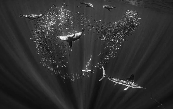 Nominee: Adventure Photographer Of The Year