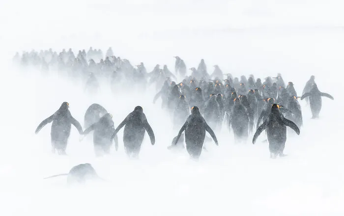 Nominee: Exploration Photographer Of The Year
