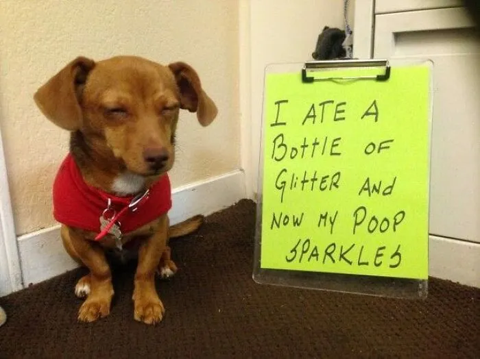 That Look On His Face