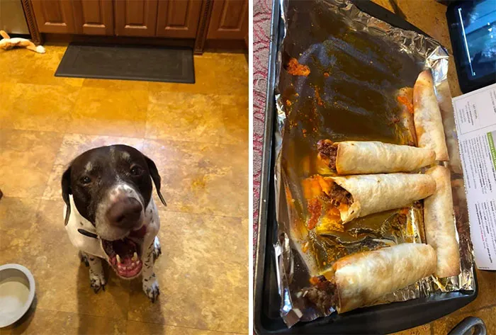 Cuando te faltan 5 taquitos de la cena y alguien tiene sed