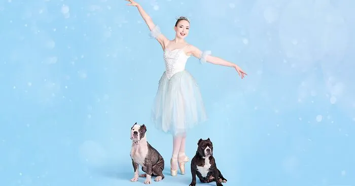 The Muttcracker: Ballet Dancers Dance With Dogs And Cats Who Are Waiting To Get Adopted (50 Pics)