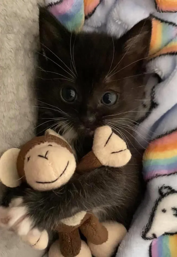 Pickles Has Found A New Toy To Guard. Let’s Hope Nobody Tries To Take It From Him