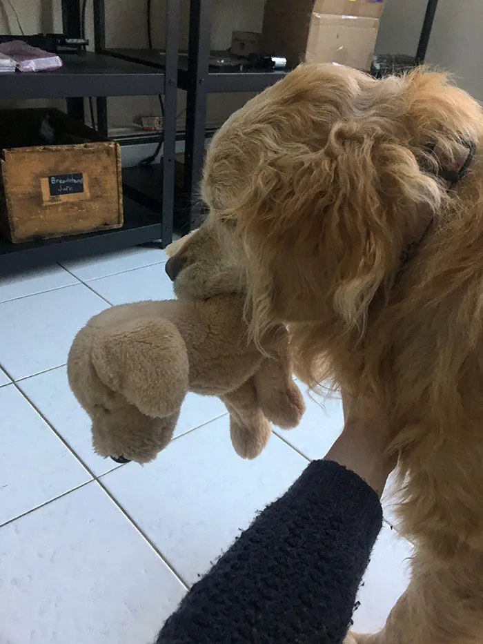 Adora su juguete miniyo