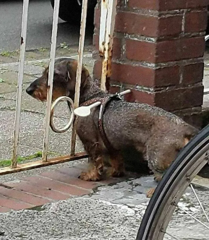 Protection From Escaping