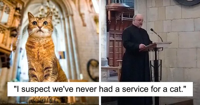 Cat Who Lived In A Church For 12 Years Passes Away, The Church Gives Her An Entire Memorial Service