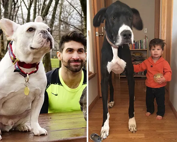 Mom Makes Fun Of Her Model Brother By Having Her Toddler Recreate His Poses, And Result Is Hilariously Adorable (45 New Pics)