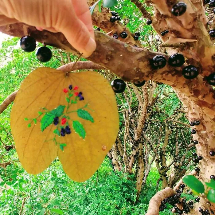 This Brazilian Artist Creates Unique Designs Of Embroidery On Fallen Leaves (109 Pics)