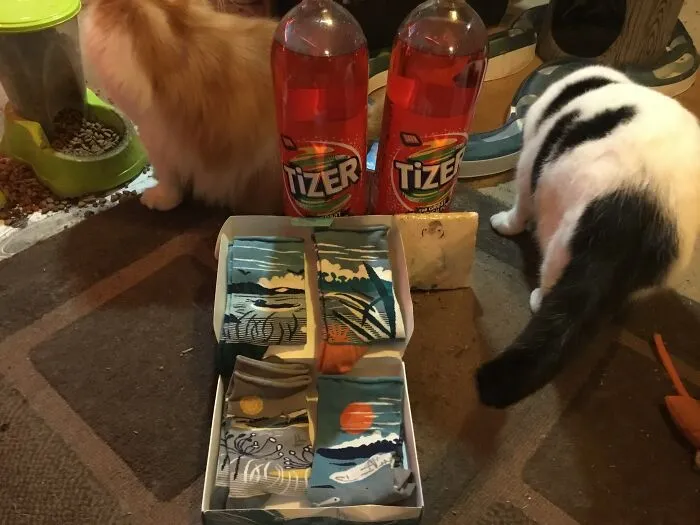 Among Lots Of Other Goodies Tizer, Cornish Postcard Socks And A Hand Painted Penguin Coaster. There Aren’t Many Shops That Sell Tizer. The Cats Did Not Come From Santa.