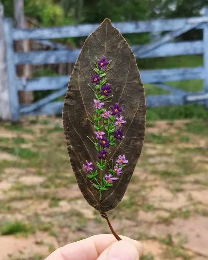 This Brazilian Artist Creates Unique Designs Of Embroidery On Fallen Leaves (109 Pics)