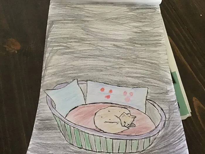 I Did Trace The Cat And Bed...
