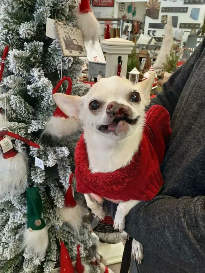 This Crazy Girl Is Ready For The Holidays!