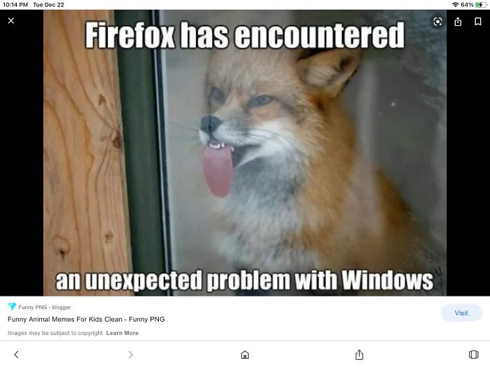 It’s The Fox’s Face For Me