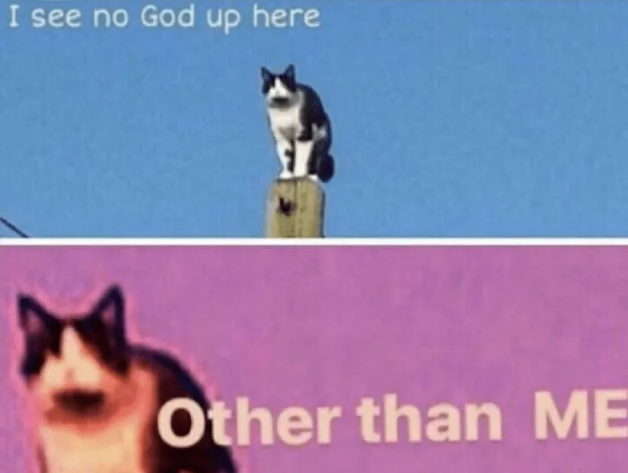 I See No God Up Here, Other Tan Meh Hoomans
