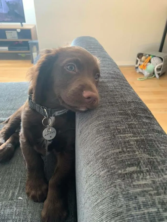My Lil Poser, That Smile Is Small But It’s There