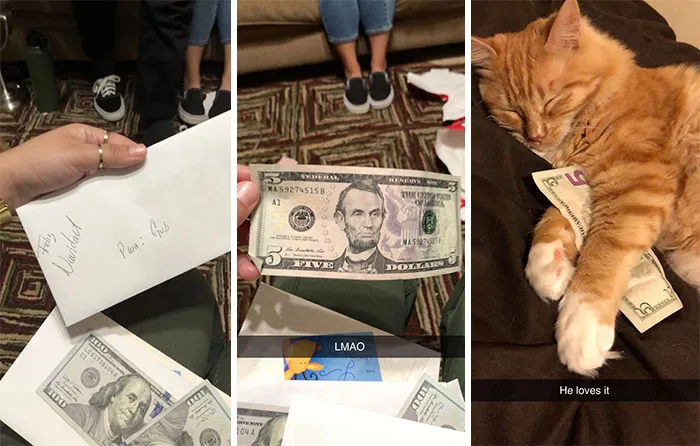 Christmas Presents For His Grandcat