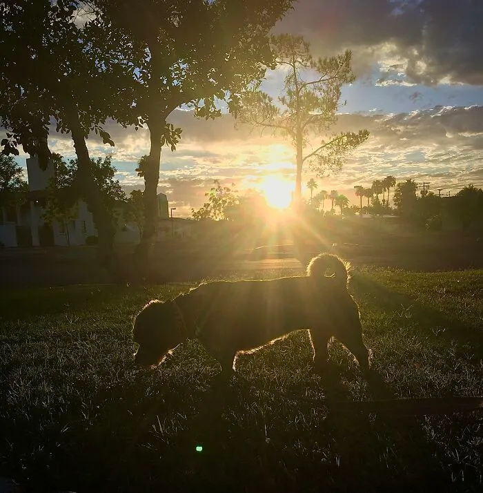 Sunrise Walk