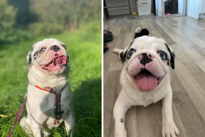 My Baby Girl’s A Heckin Ol’ Ray Of Sunshine