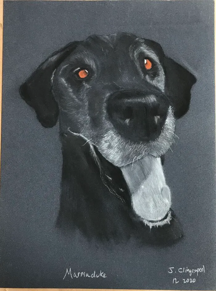 Marmaduke