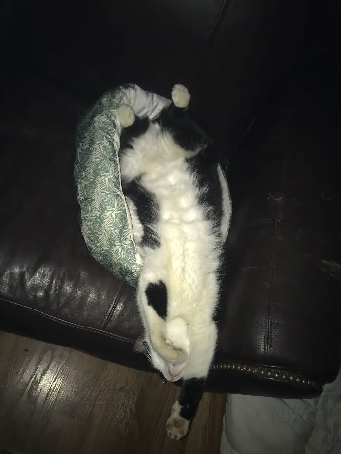 Just Hanging Around