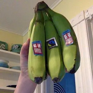 The bananas