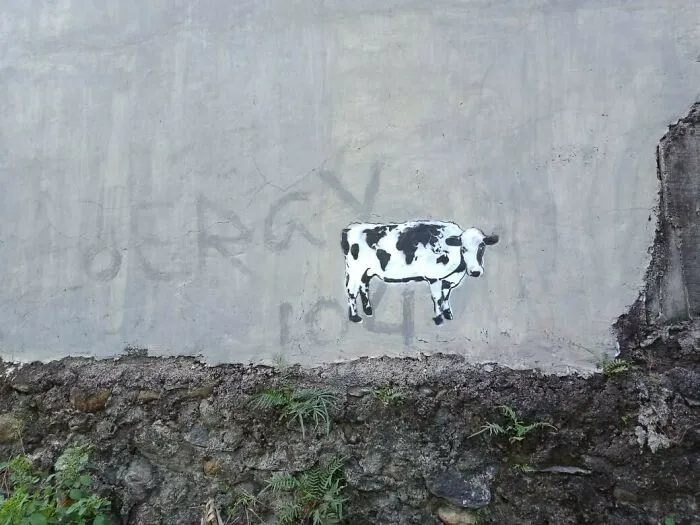 Ochi In Jakarta, Indonesia