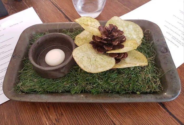 Browsing Through My Old Photos And Found This... Chips In A Pine Cone!
