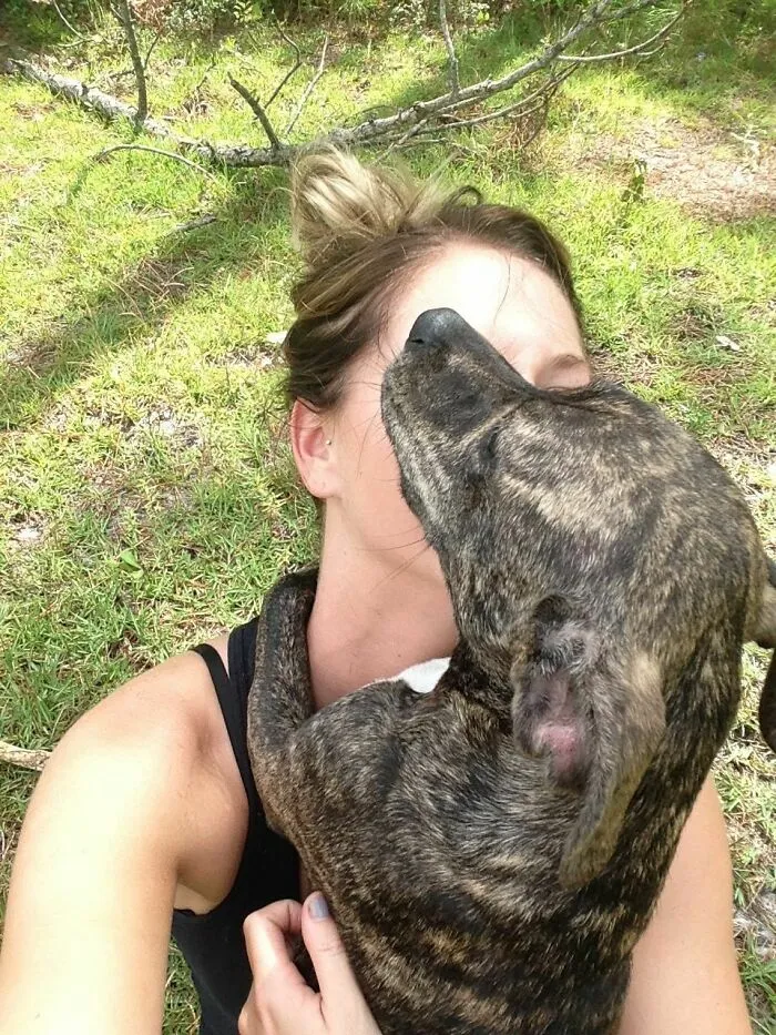 Mi amiga encontró a su perro después de estar perdido durante 3 días. Creo que se alegró de tener a su humano de vuelta