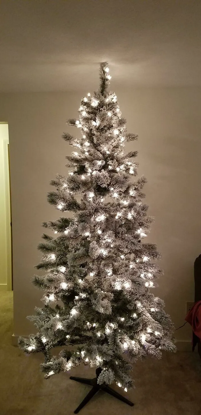 Compré mi primer árbol de Navidad sin medirlo y...