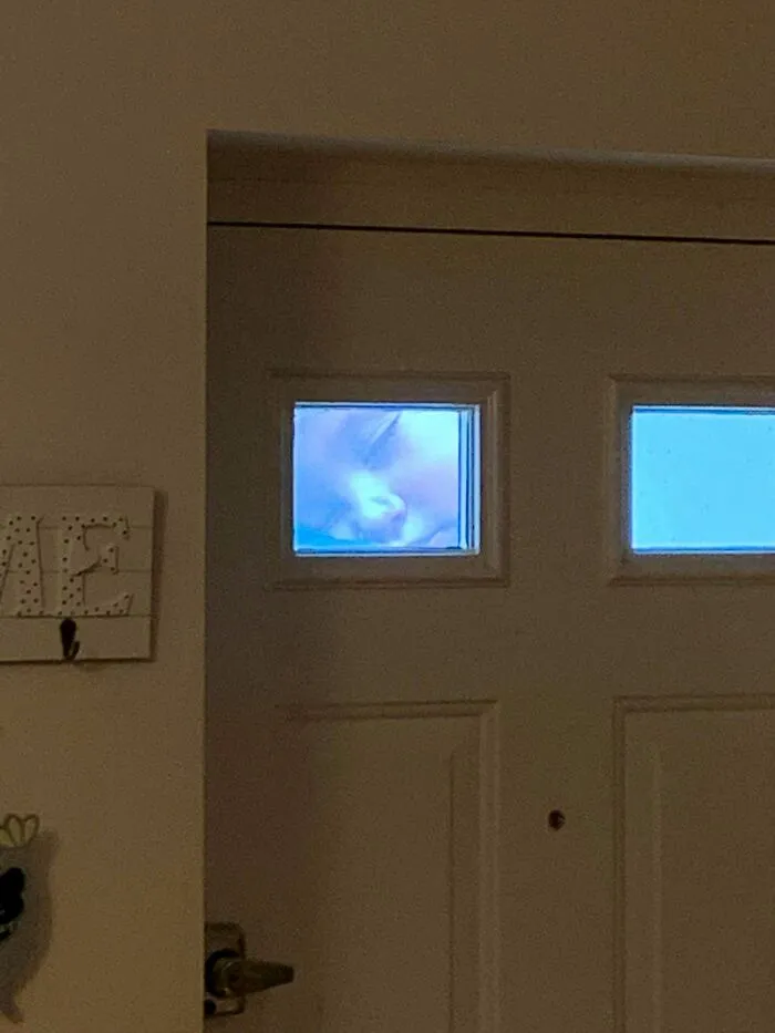 Me di un susto. Es una furgoneta con esta decoración y ha aparcado al lado perfectamente alineada con mis cristales