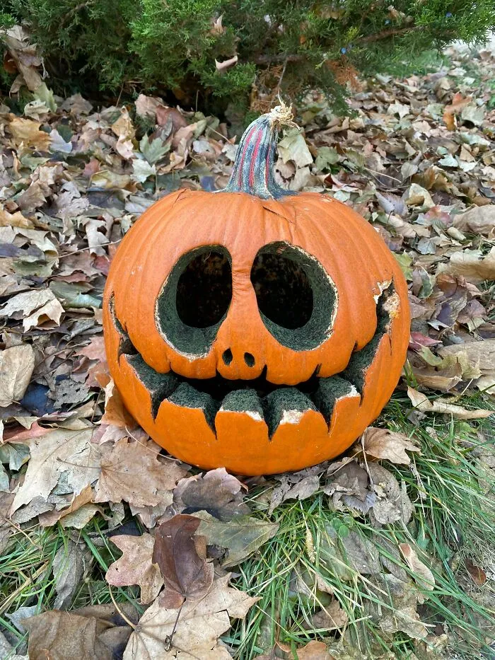 La forma en que esta calabaza se ha podrido es simplemente espeluznante