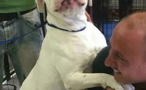 50 Pics Showing Missing Dogs Returning To Their Homes That Might Get You Teary-Eyed